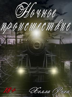 Ночное происшествие. Хелла Роха