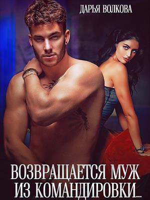 Возвращается муж из командировки. Дарья Волкова